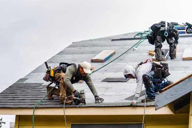 Professional Emergency Roof Repair technician working in Negley, OH